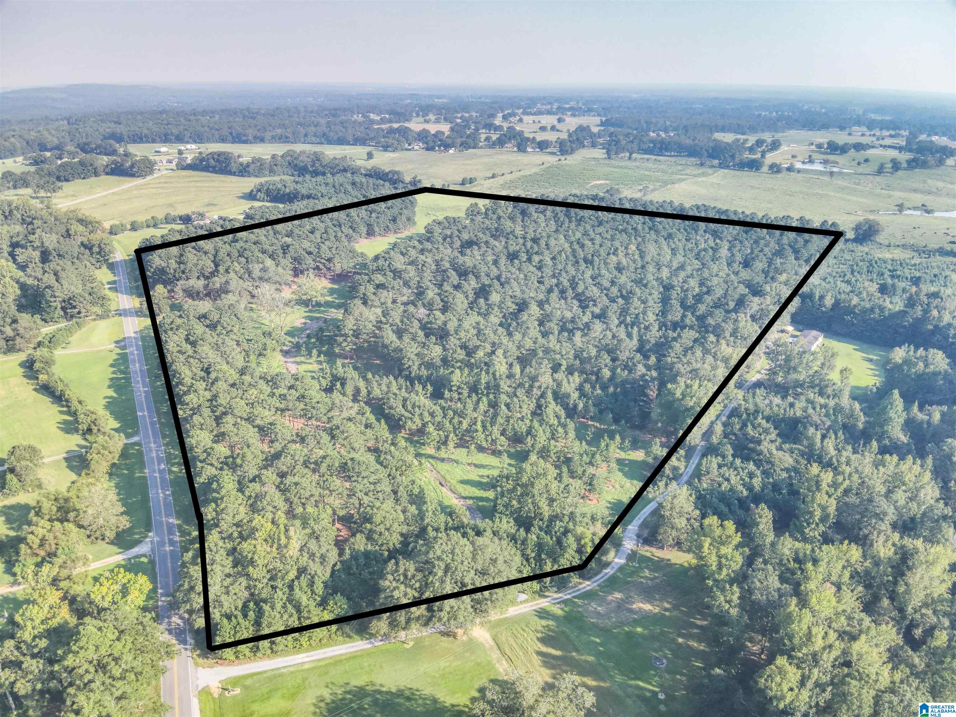 0 County Road 48, Unit 1 Jemison, AL 35085 - Photo 6 of 24