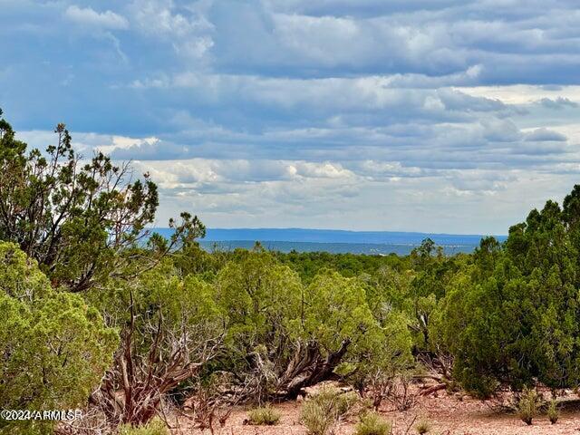 2736 Rebel Yell Road Snowflake, AZ 85937 - Photo 9 of 28 20240623084214446404000000-o