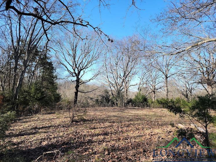 3372 Red Maple Road Big Sandy, TX 75755 - Photo 33 of 34 Gallery Image 33