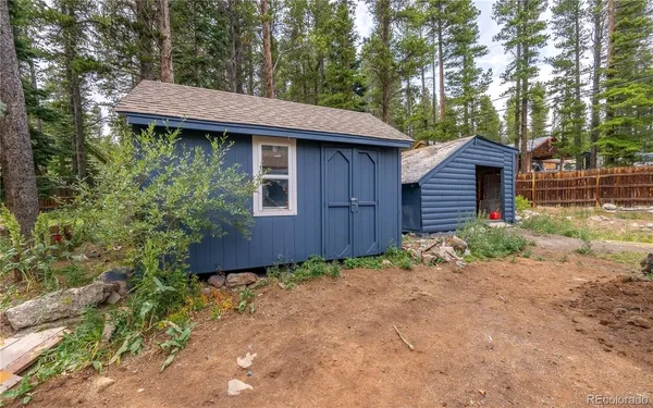 a view of a backyard with plants and large tree