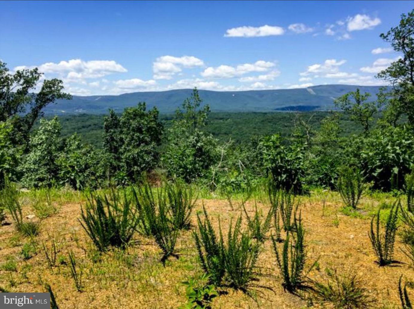 Timberline Ridge Star Tannery, VA 22654 - Photo 1 of 11 Gallery Image 1