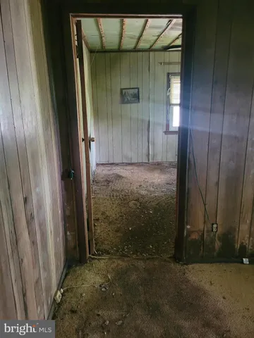 a view of a tree in a garden