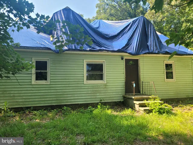 a view of a backyard with plants and large tree