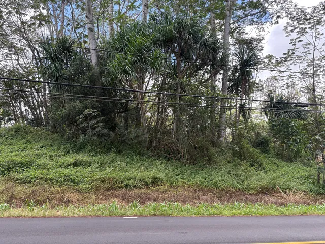 a view of outdoor space and garden