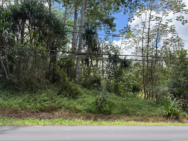 a view of a back yard