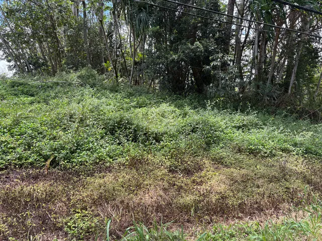 a view of outdoor space and green space
