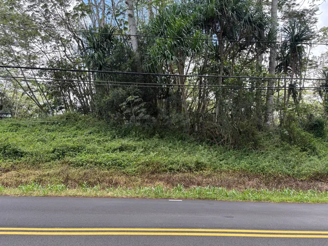a backyard of a house with lots of green space and plants