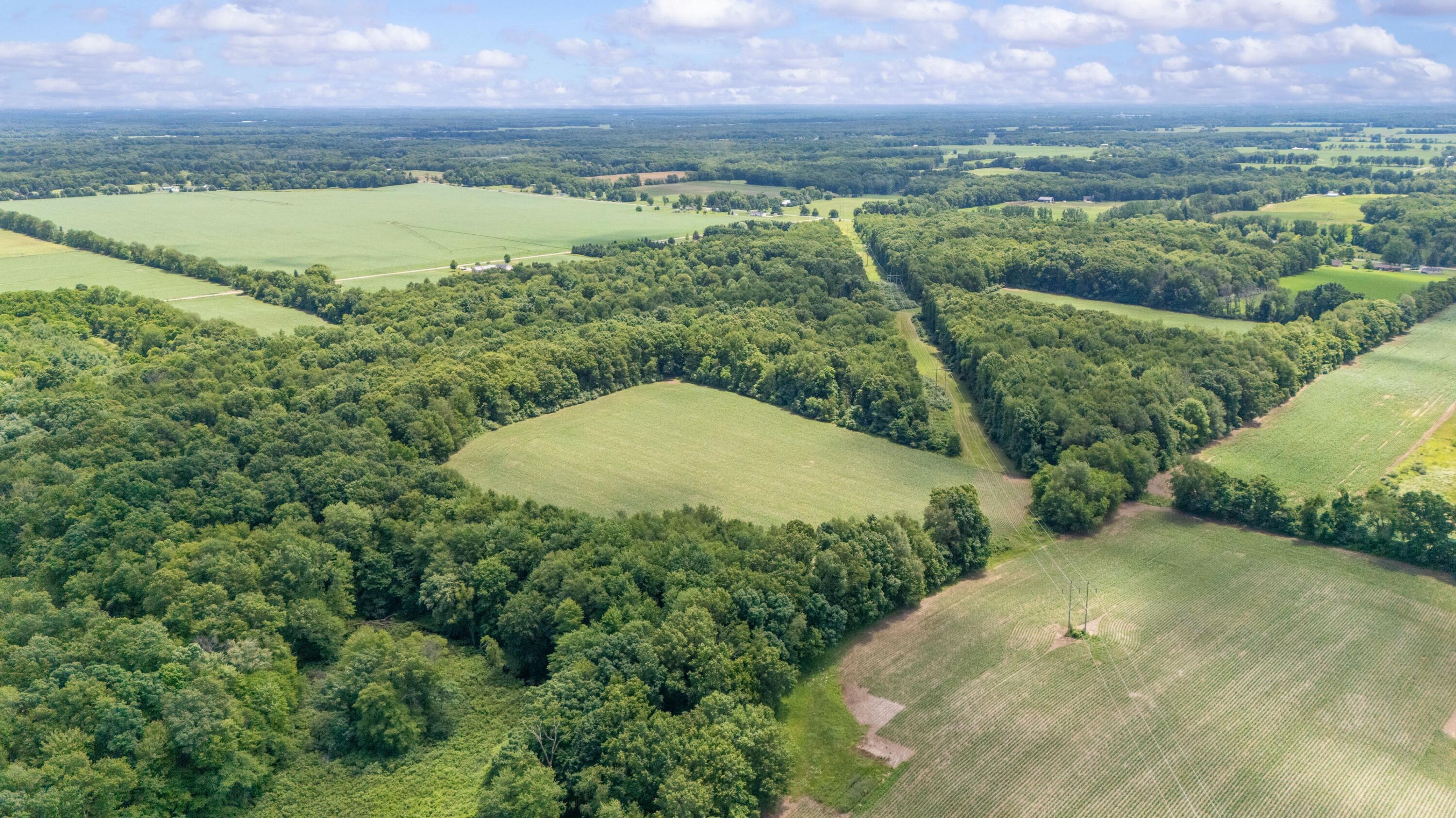 52402 Oak Plains Road Marcellus, MI 49067 - Photo 8 of 59 05DJI_20260626015701_0024_D