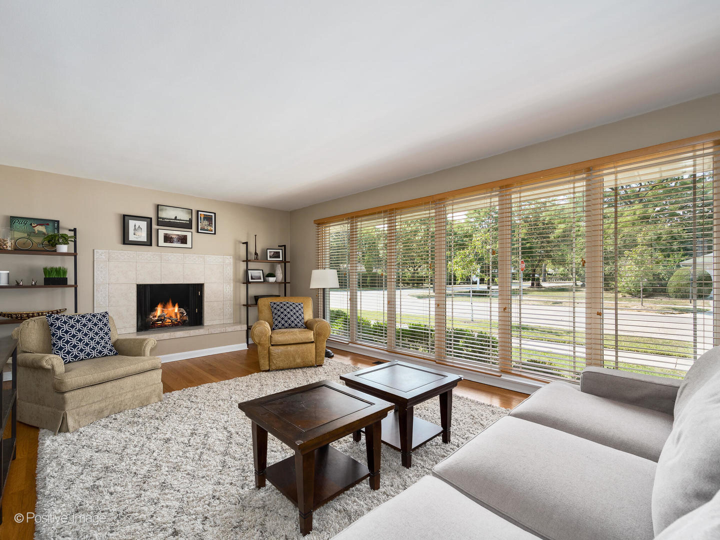 801 Windsor Road Glenview, IL 60025 - Photo 3 of 29 a living room with furniture and a fireplace