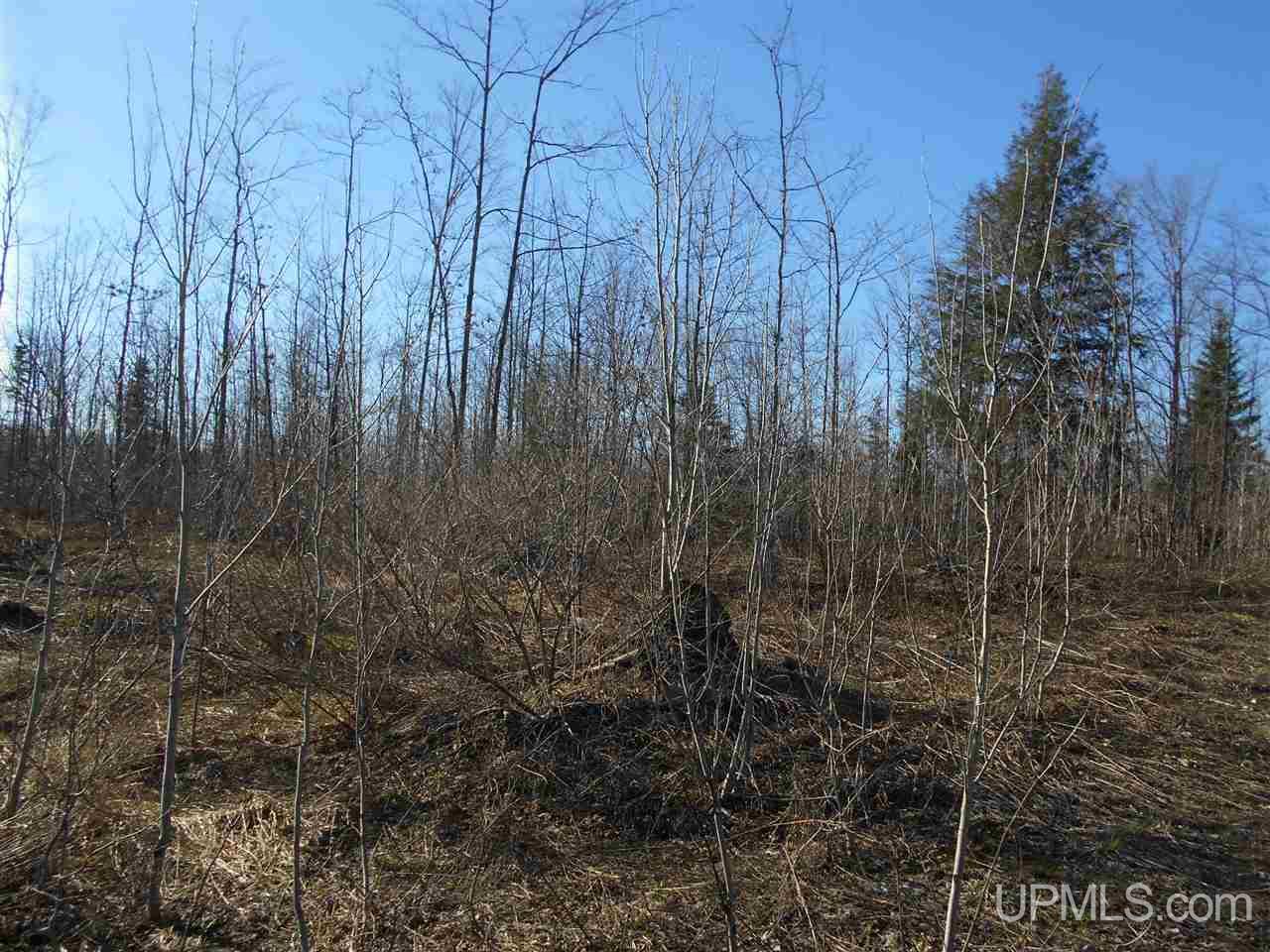 Tbd Off Heikkila Road Ironwood, MI 49938 - Photo 1 of 13