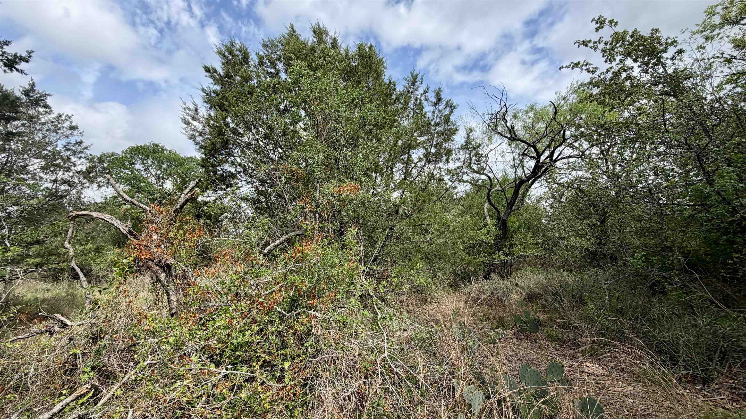 Lot 117-142 Ridgemont Kingsland, TX 78639 - Photo 19 of 22