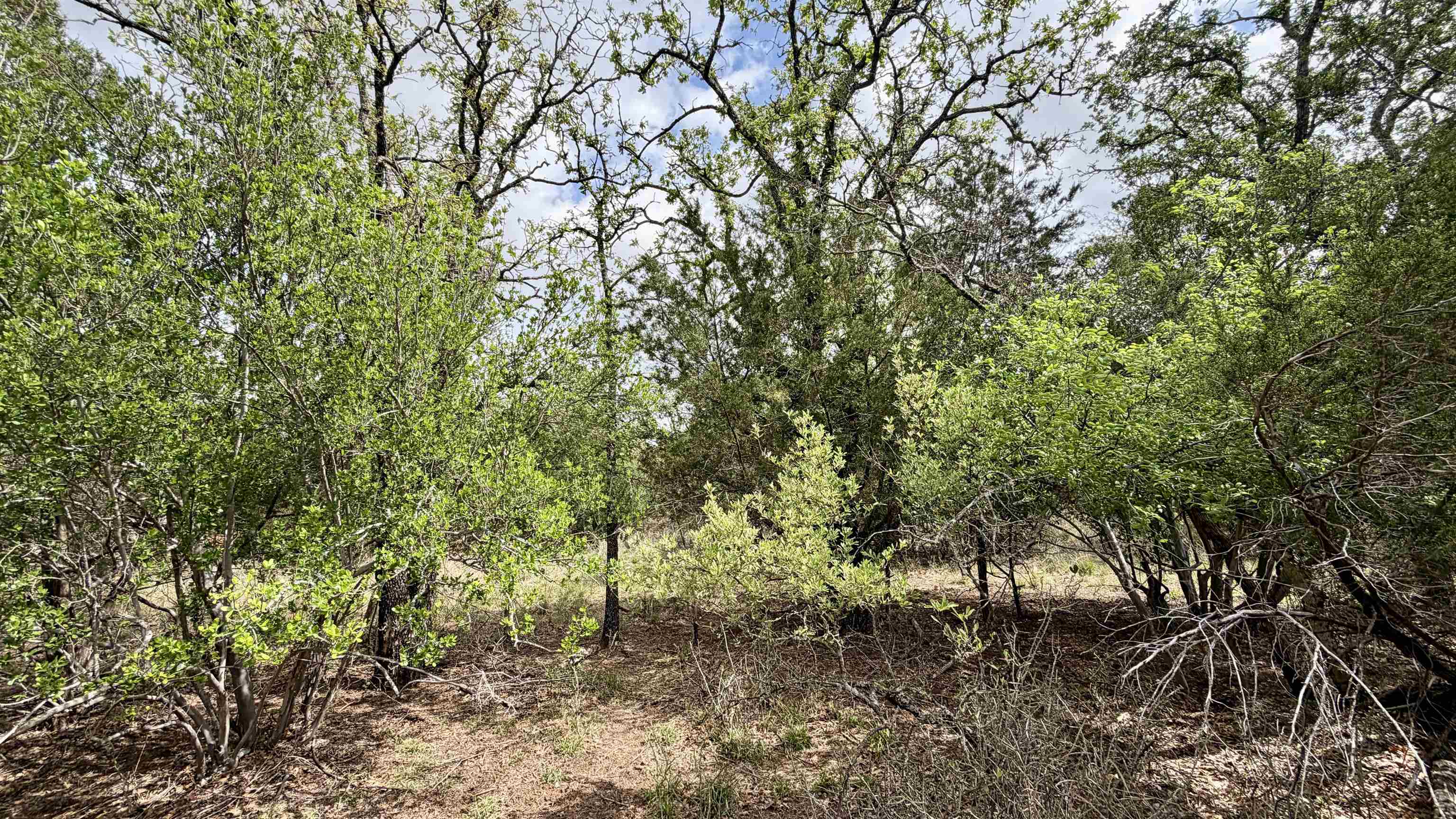 Lot 117-142 Ridgemont Kingsland, TX 78639 - Photo 20 of 22