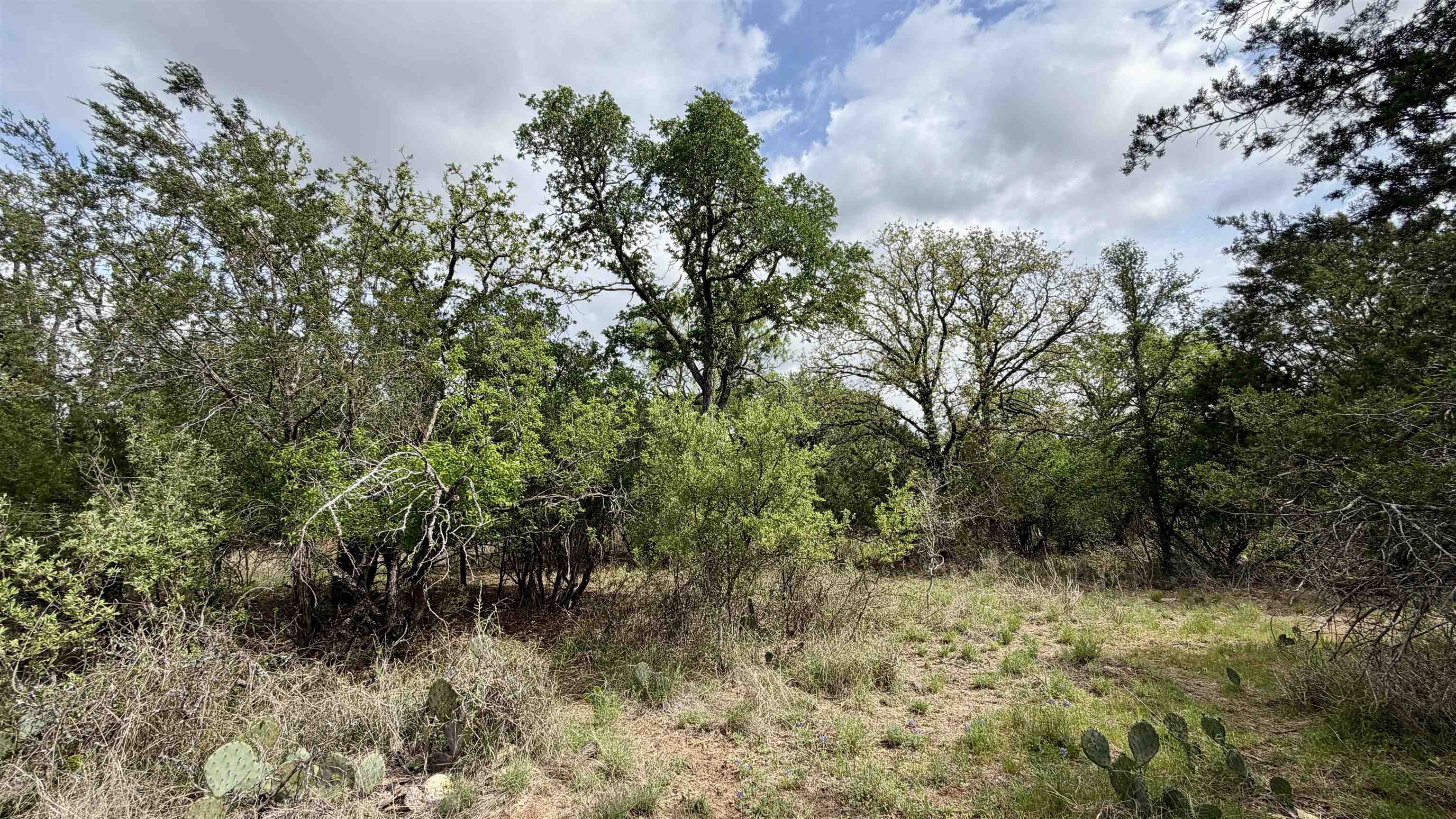 Lot 117-142 Ridgemont Kingsland, TX 78639 - Photo 21 of 22