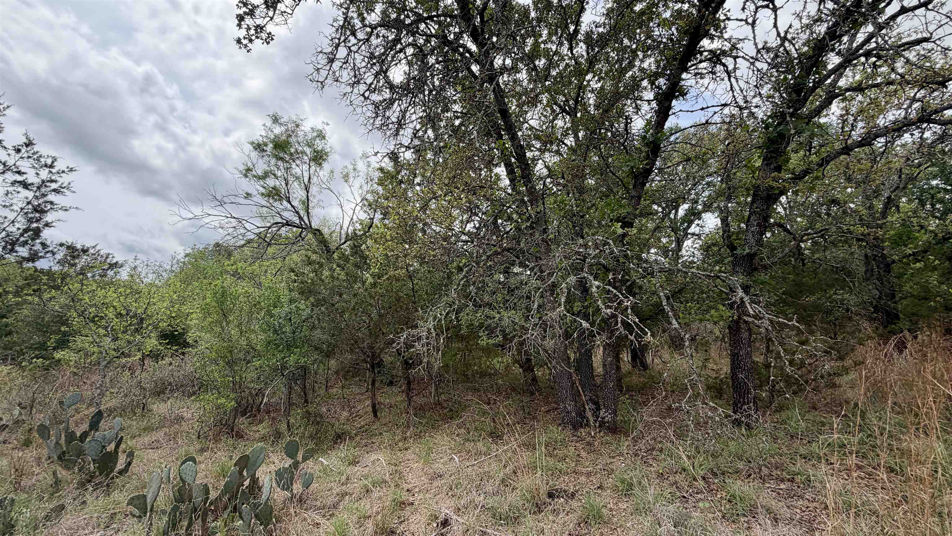 Lot 117-142 Ridgemont Kingsland, TX 78639 - Photo 5 of 22