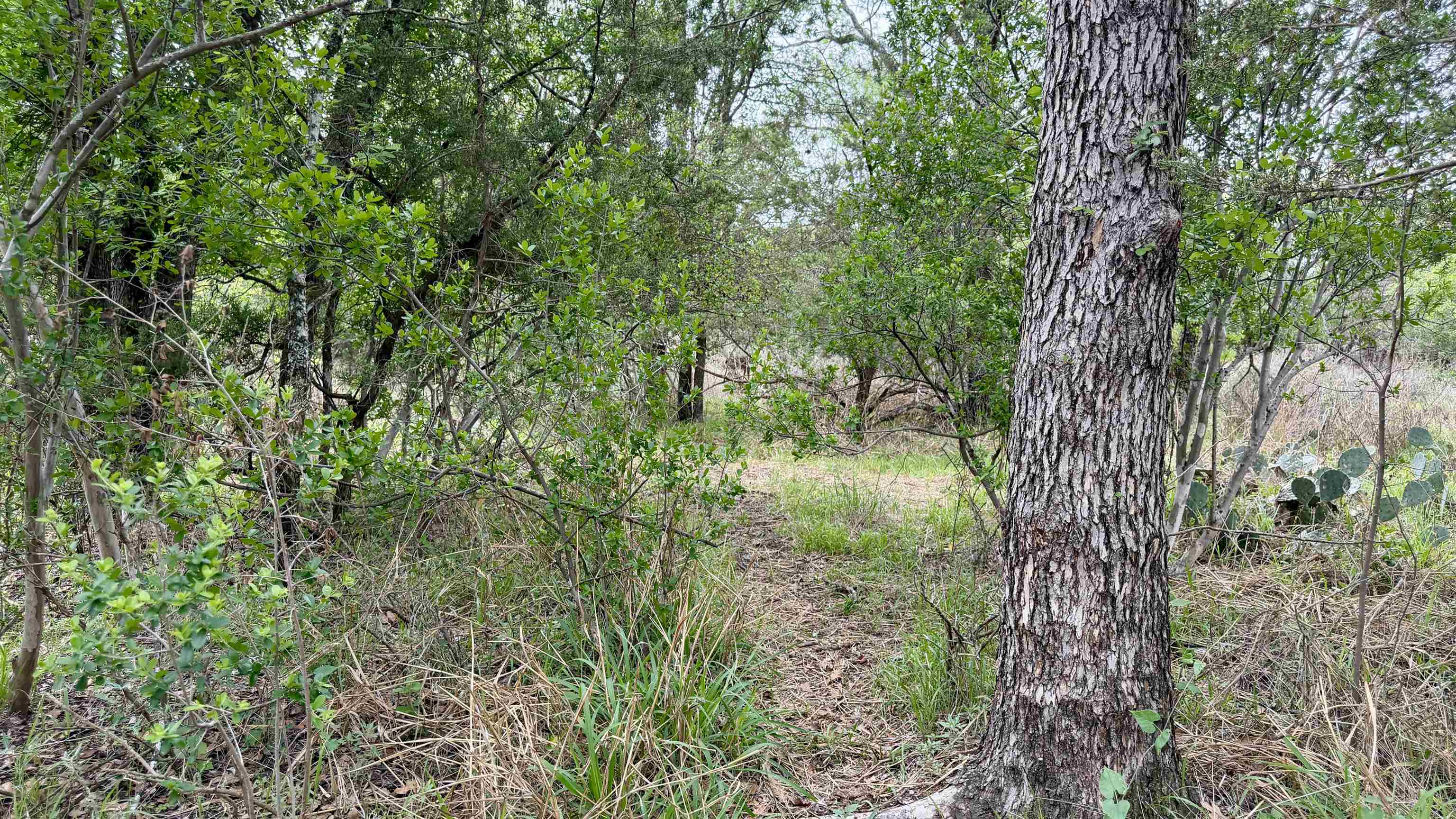 Lot 117-142 Ridgemont Kingsland, TX 78639 - Photo 8 of 22