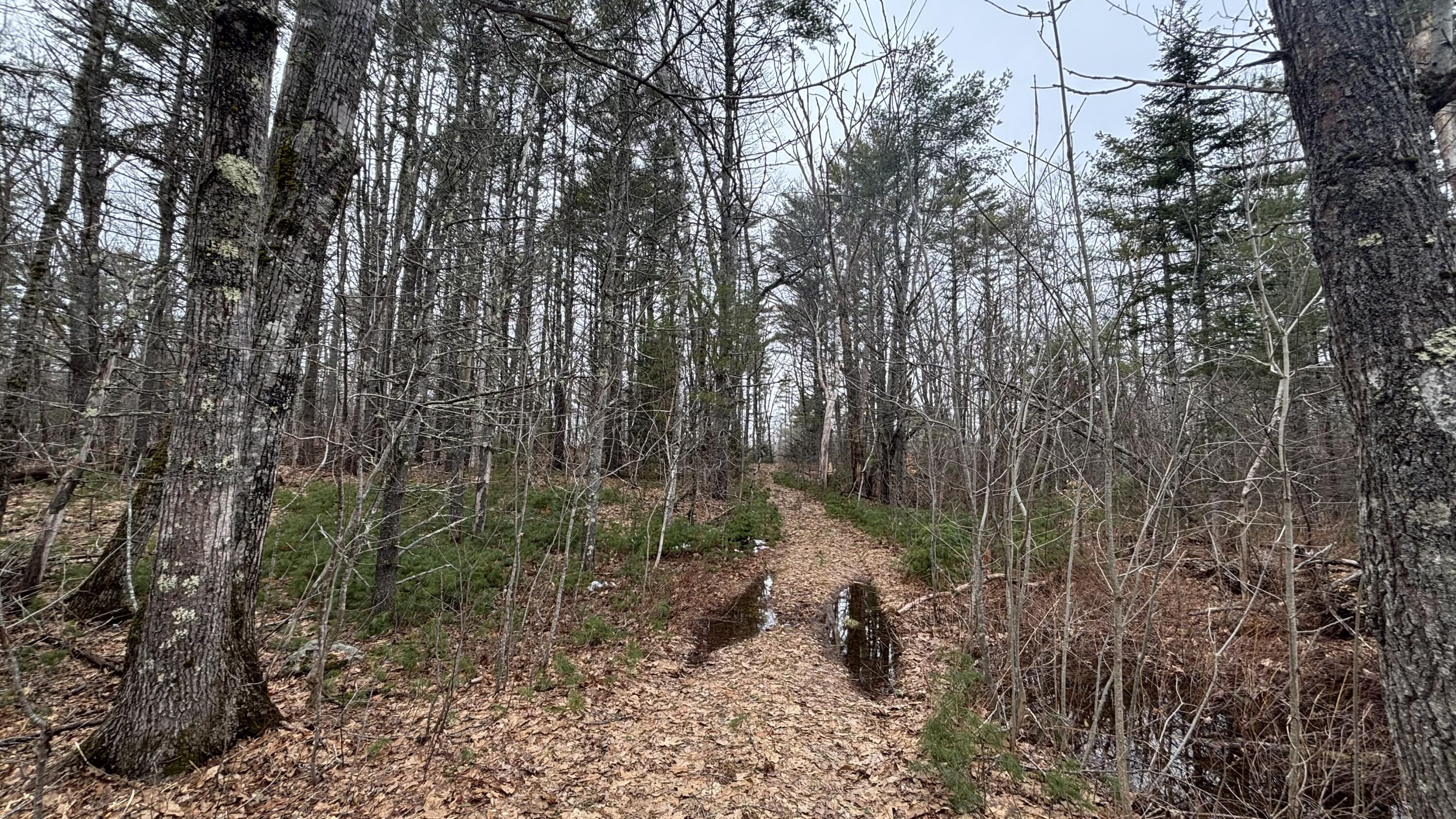 74 Mountain Road Woolwich, ME 04579 - Photo 11 of 39 74 Mountain 10