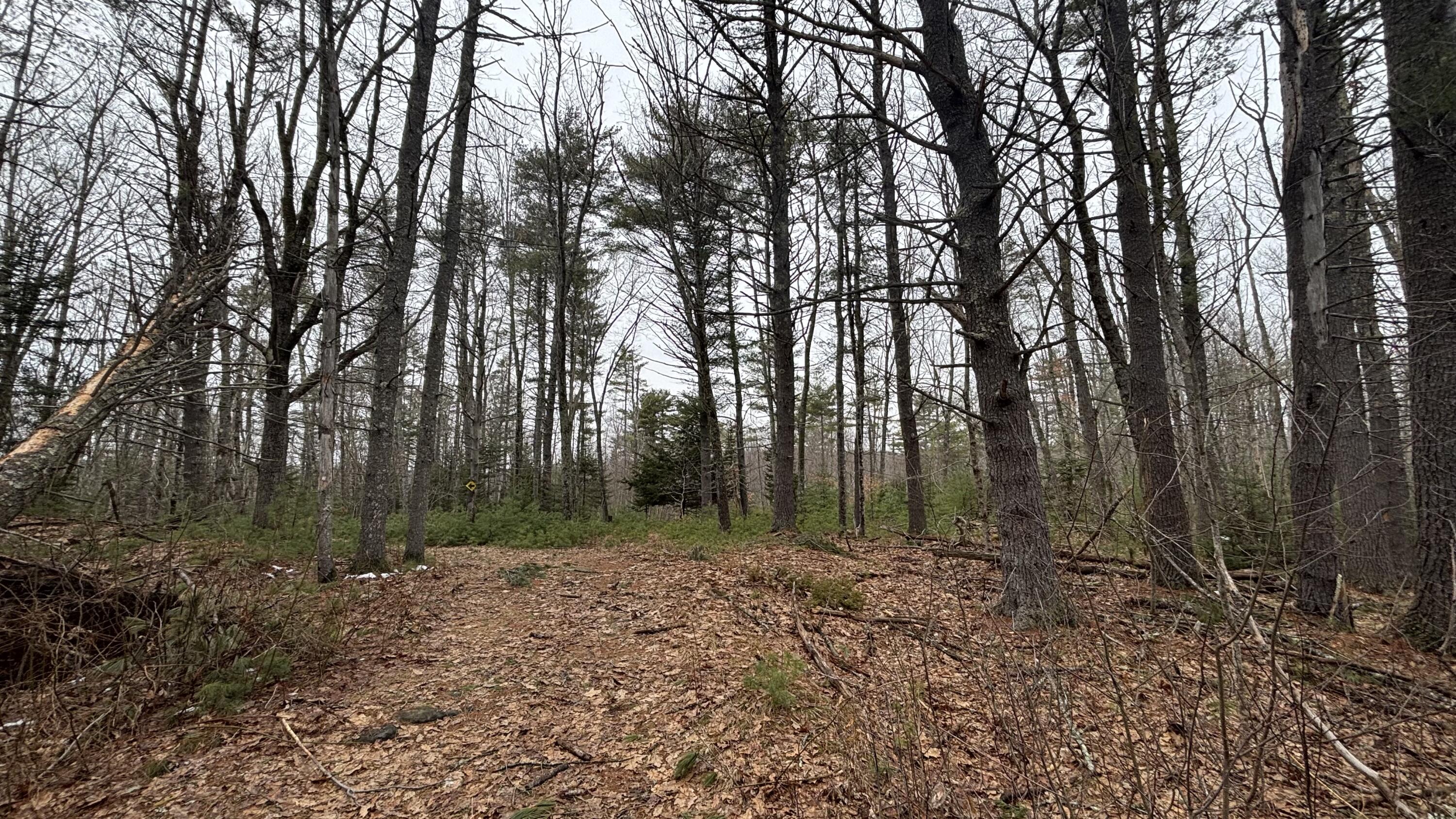 74 Mountain Road Woolwich, ME 04579 - Photo 2 of 38 74 Mountain 1