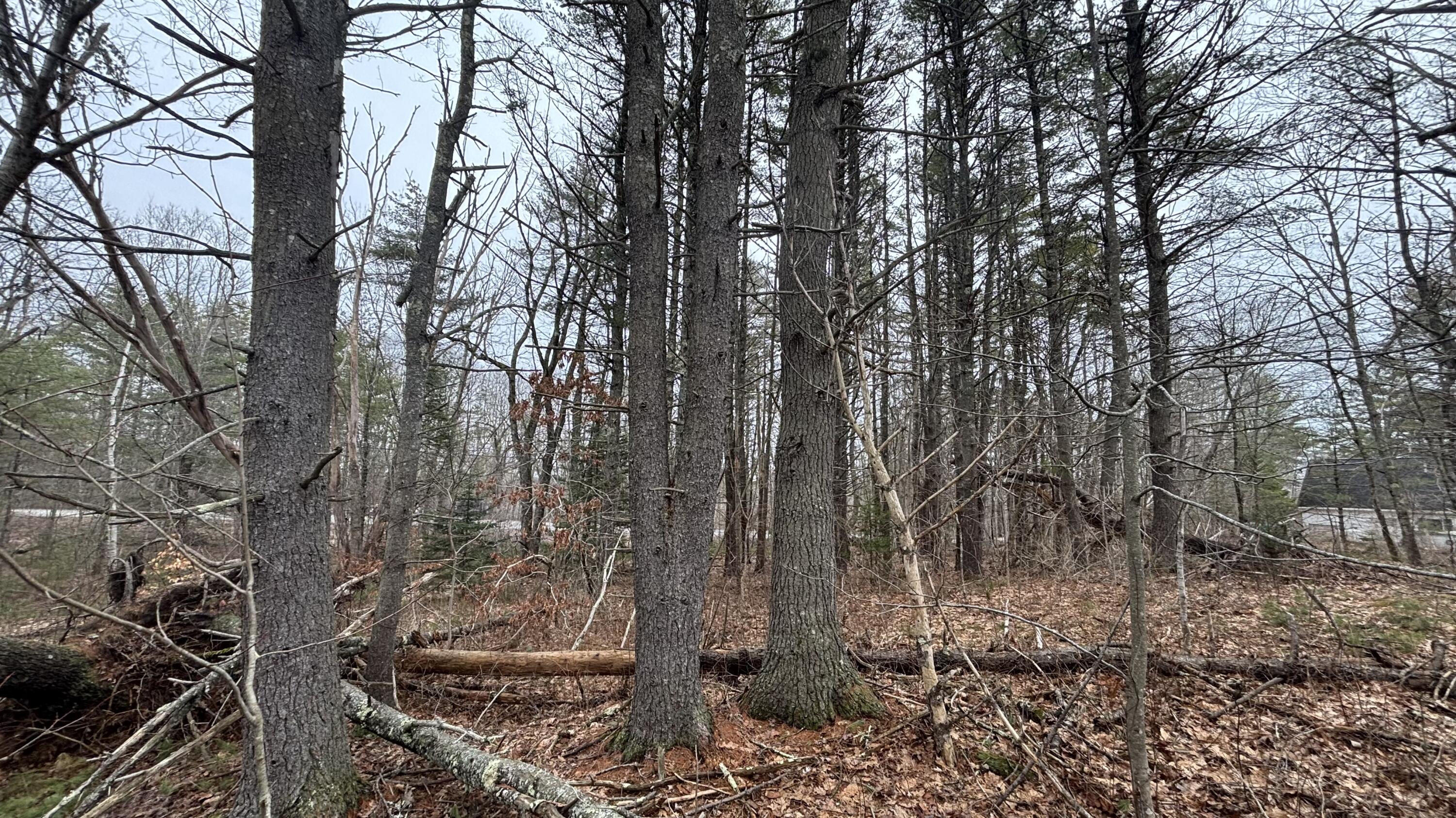 74 Mountain Road Woolwich, ME 04579 - Photo 3 of 38 74 Mountain 2