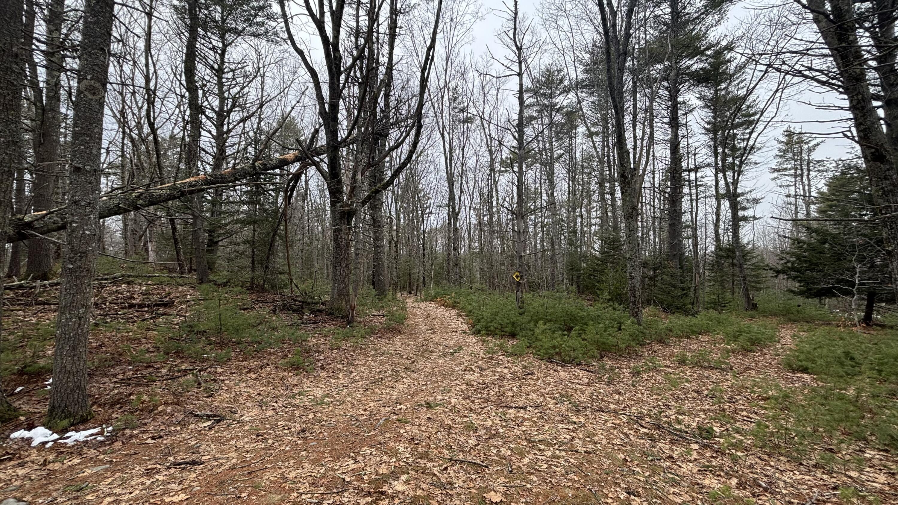 74 Mountain Road Woolwich, ME 04579 - Photo 5 of 38 74 Mountain 4