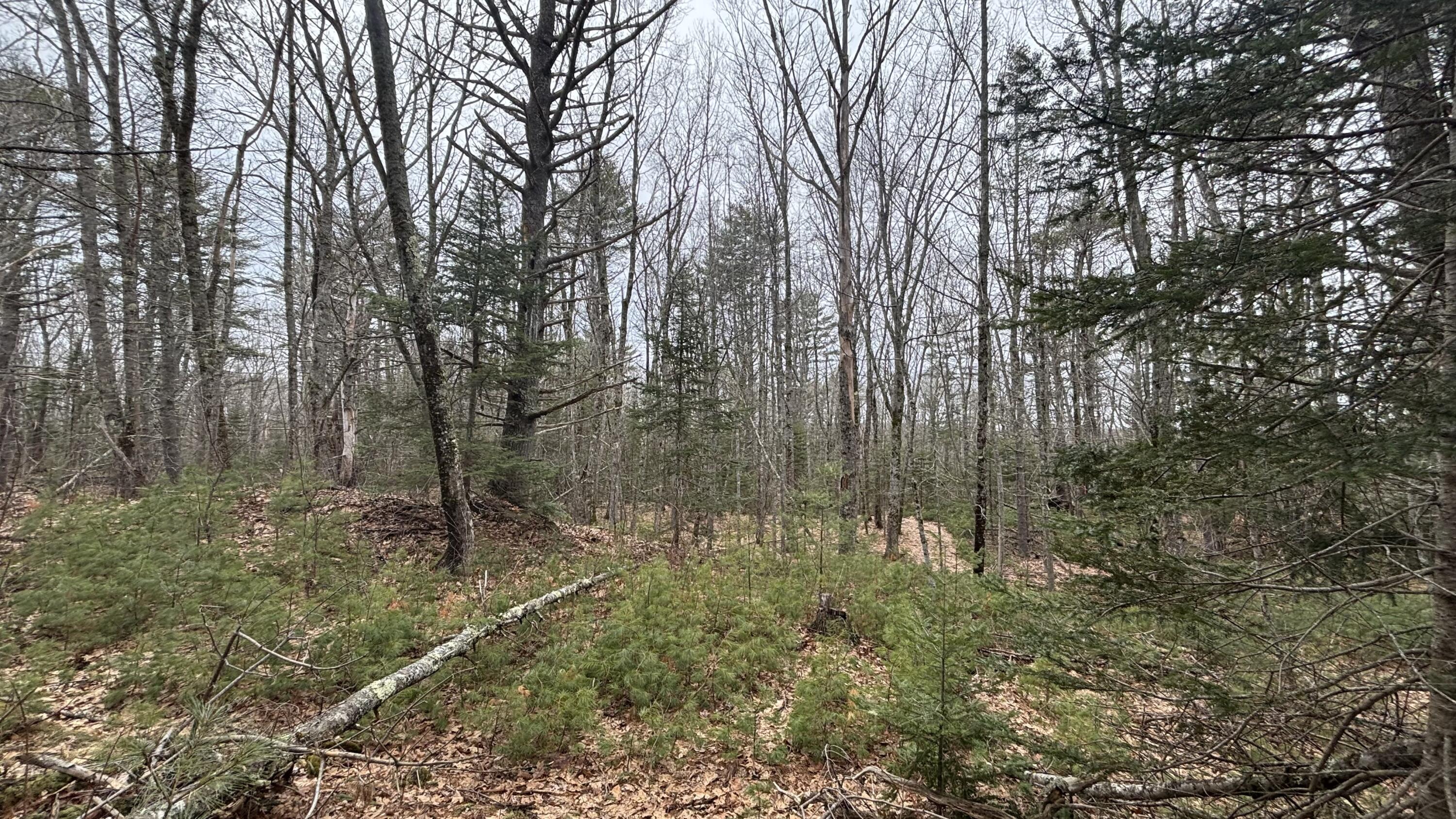 74 Mountain Road Woolwich, ME 04579 - Photo 5 of 39 74 Mountain 3