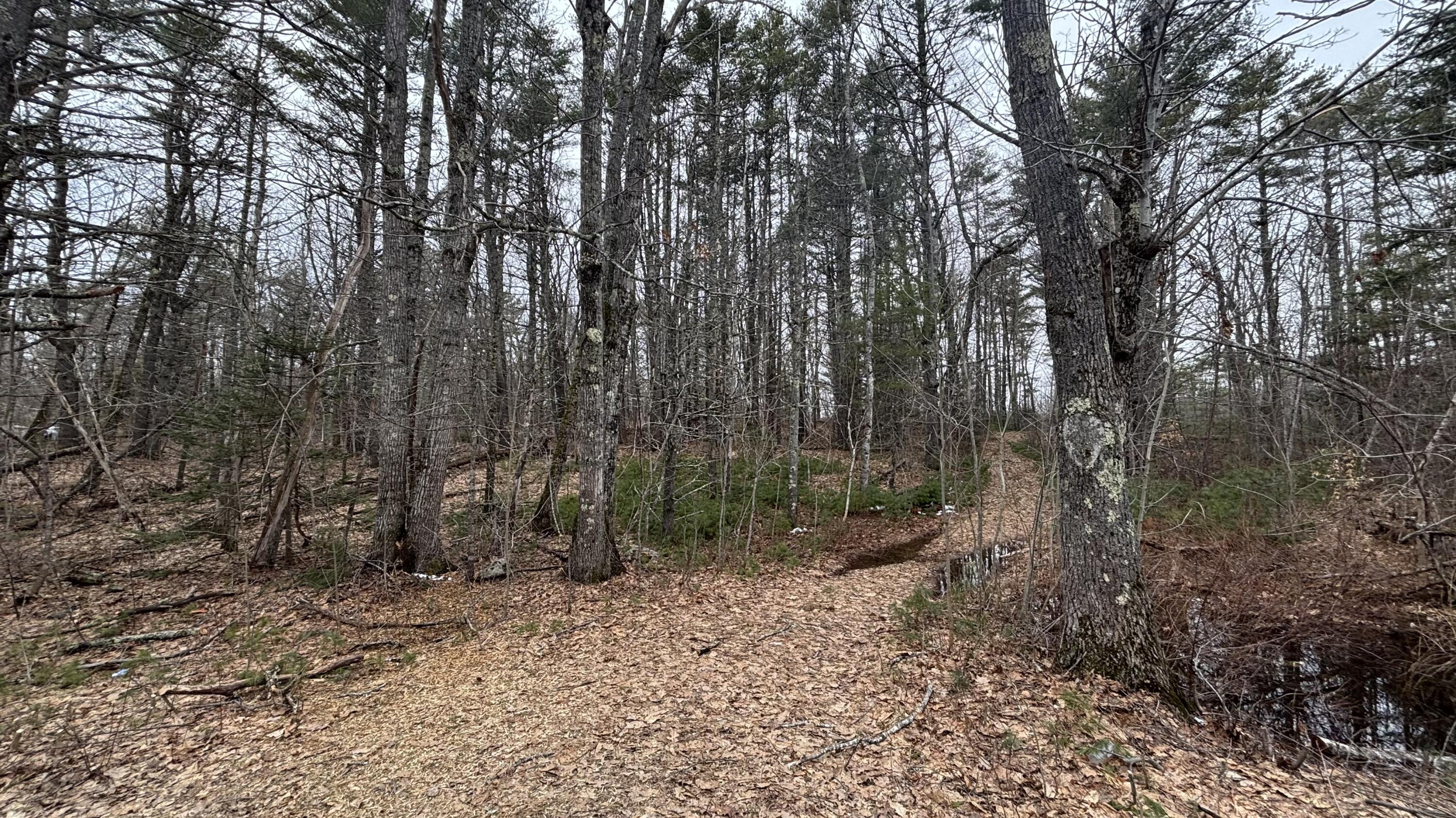 74 Mountain Road Woolwich, ME 04579 - Photo 10 of 39 74 Mountain 9
