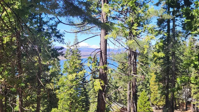 $53,000 | 124 Lake Almanor W Drive, Lake Almanor West, CA 96020