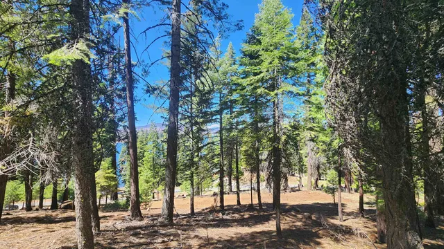 a view of outdoor space with trees