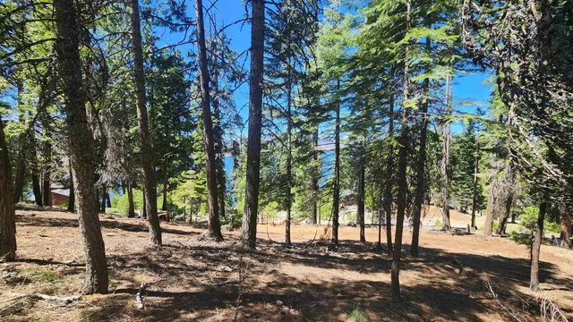 a view of a street with a tree
