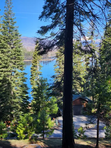 a view of a yard with wooden fence