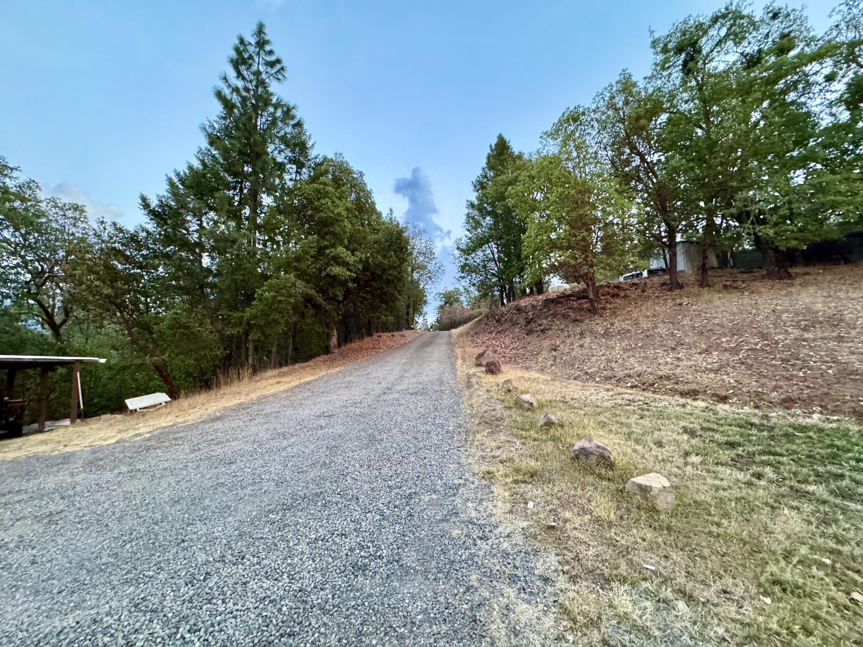8104 East Antelope Road Eagle Point, OR 97524 - Photo 7 of 12 a view of a yard with large trees