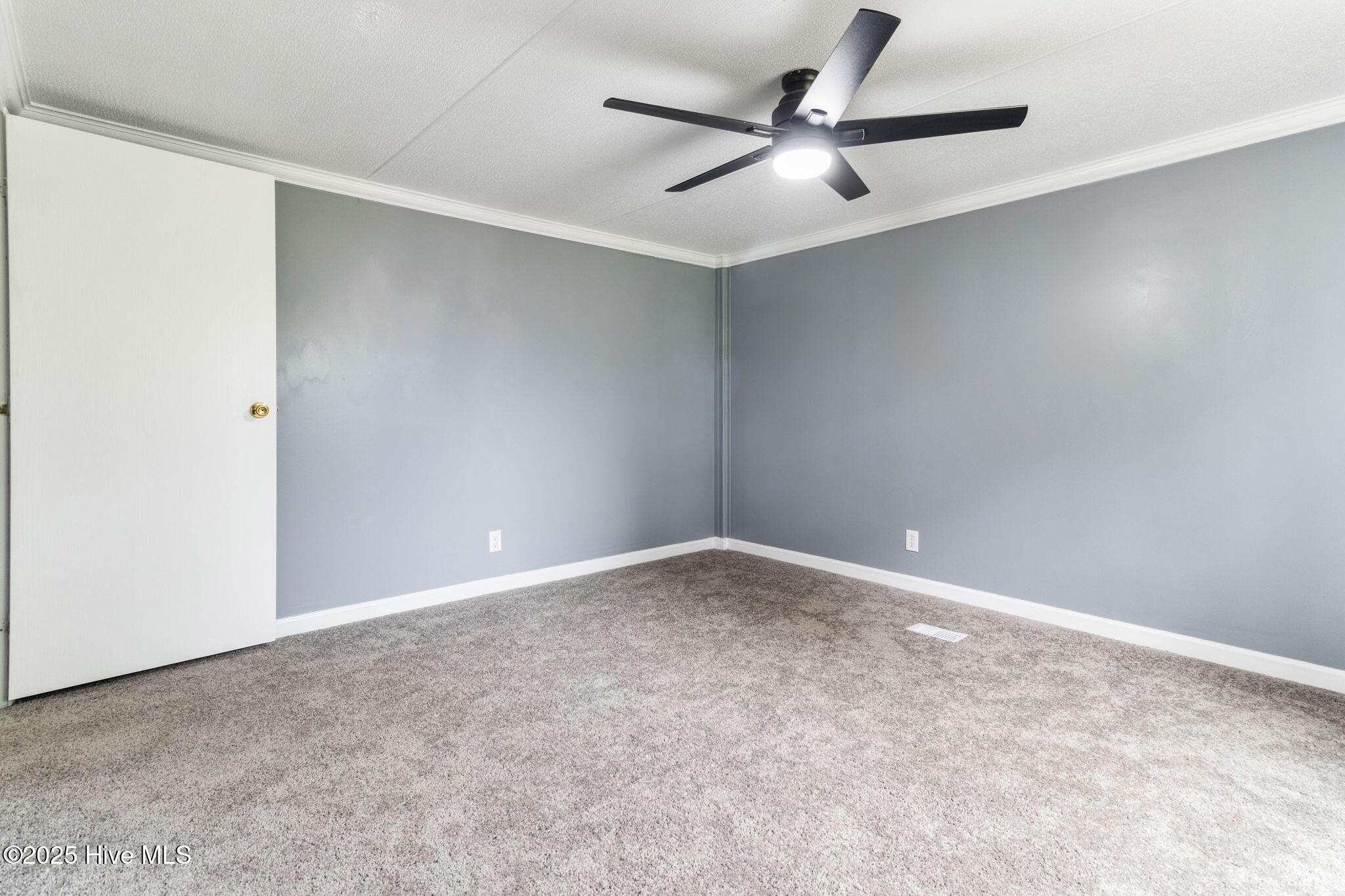 14561 St Johns Church Road Gibson, NC 28343 - Photo 10 of 29 10