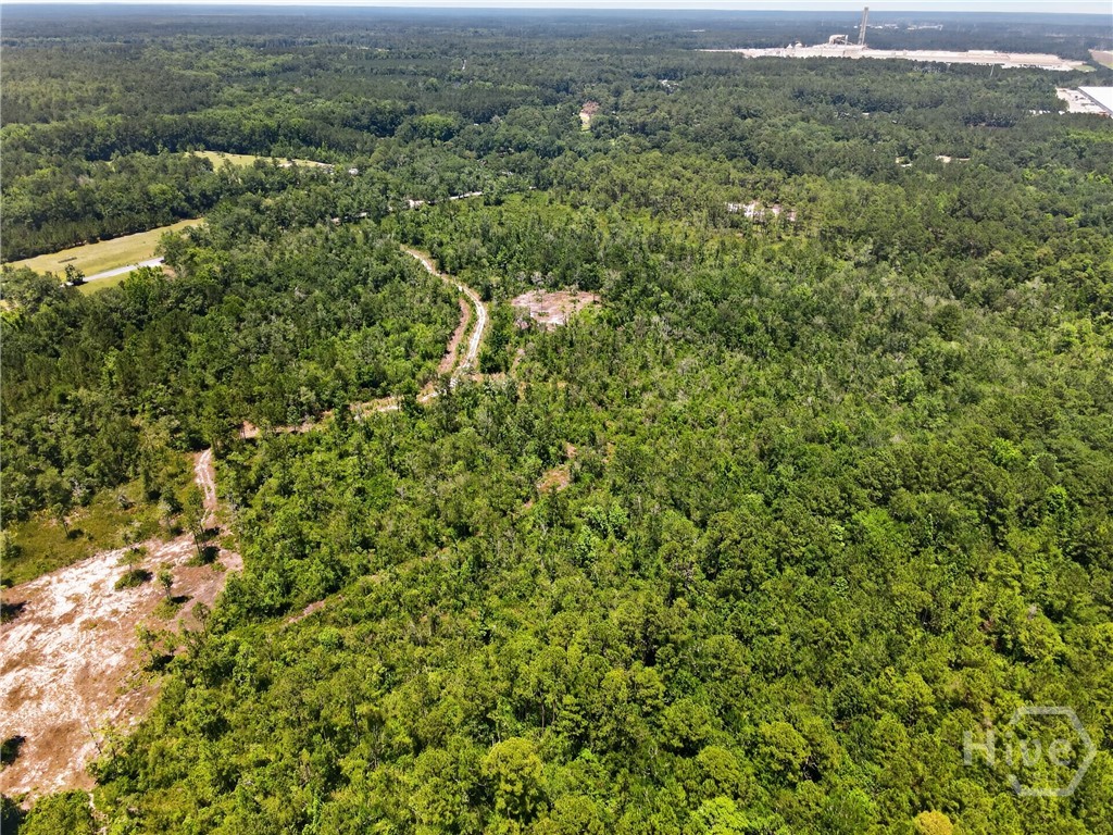 241 Barney Road Rincon, GA 31326 - Photo 4 of 7