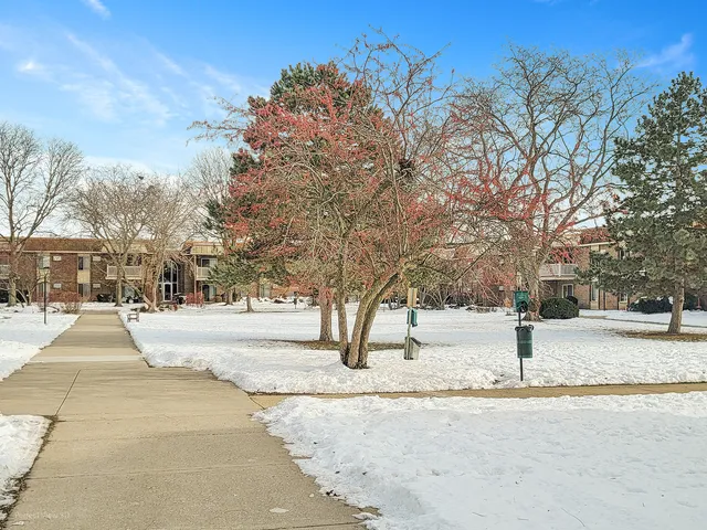 $187,200 | 1501 Churchill Drive, Unit 105, Palatine, IL 60074