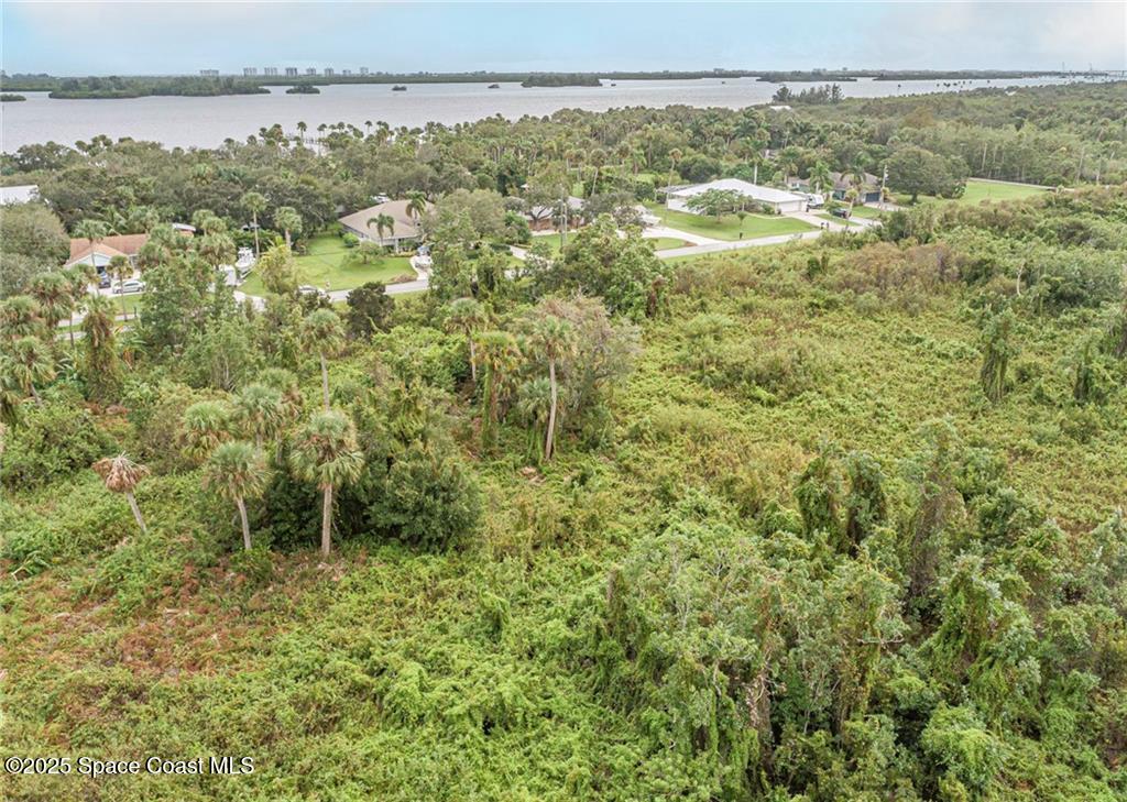 0 Milton Road & River Woods Drive, FL 00000 - Photo 21 of 36 a view of an outdoor space and a lake view
