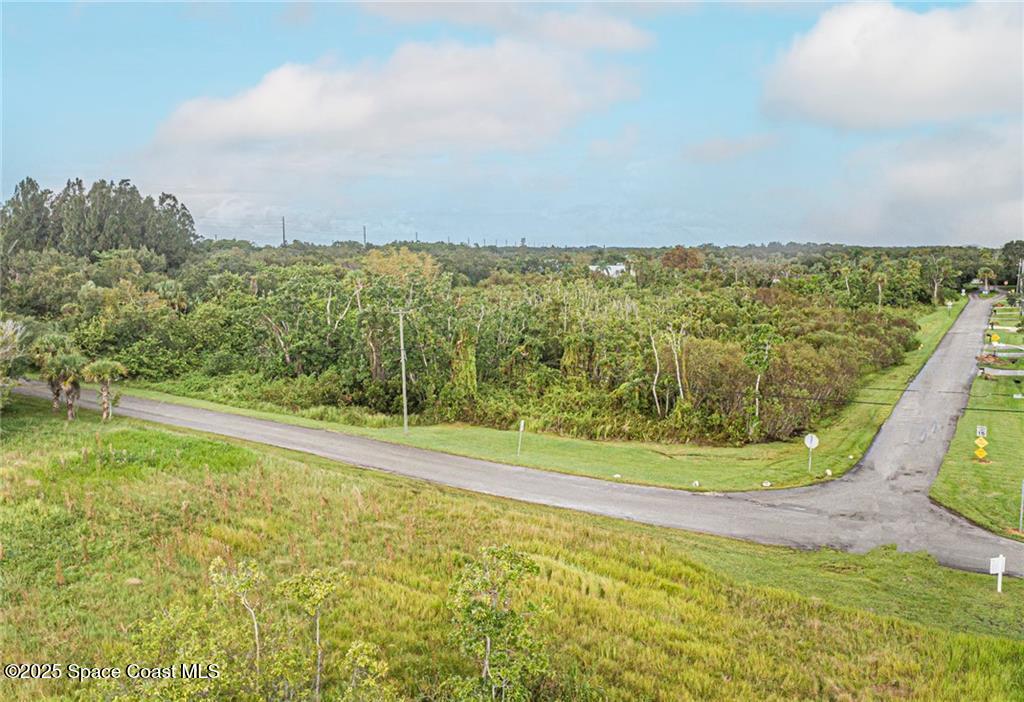 0 Milton Road & River Woods Drive, FL 00000 - Photo 25 of 36 a view of a yard with an ocean view
