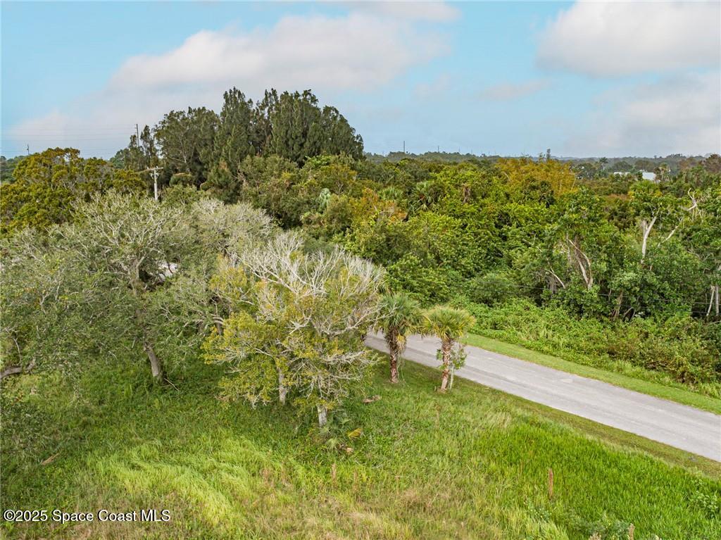 0 Milton Road & River Woods Drive, FL 00000 - Photo 27 of 36 a view of a garden with lawn chairs
