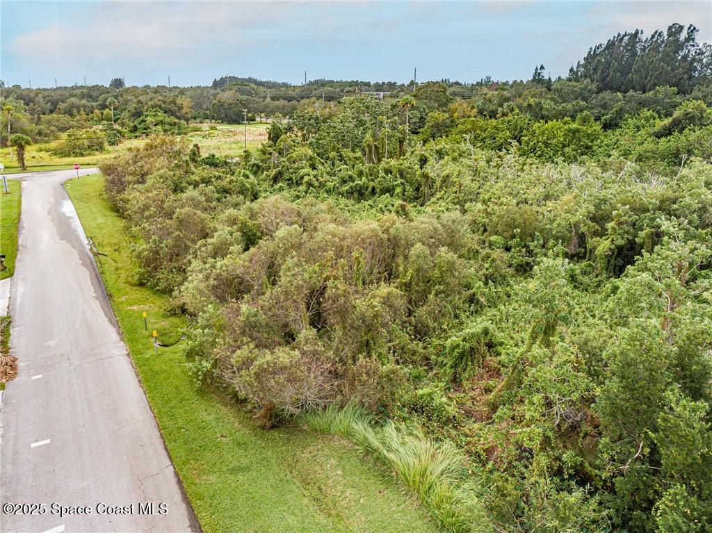 0 Milton Road & River Woods Drive, FL 00000 - Photo 31 of 36 a view of a lake with a mountain