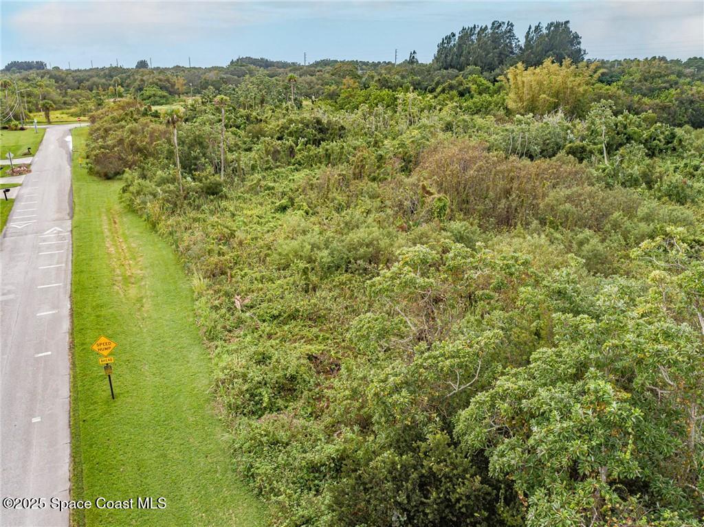 0 Milton Road & River Woods Drive, FL 00000 - Photo 35 of 36 a view of a city