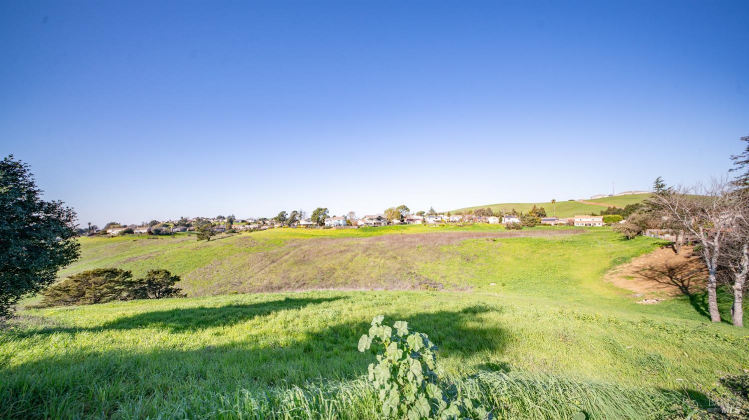 309 Drake Court Benicia, CA 94510 - Photo 50 of 56