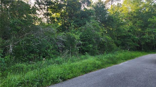 0 North Audubon Street Slidell, LA 70460 - Photo 2 of 3