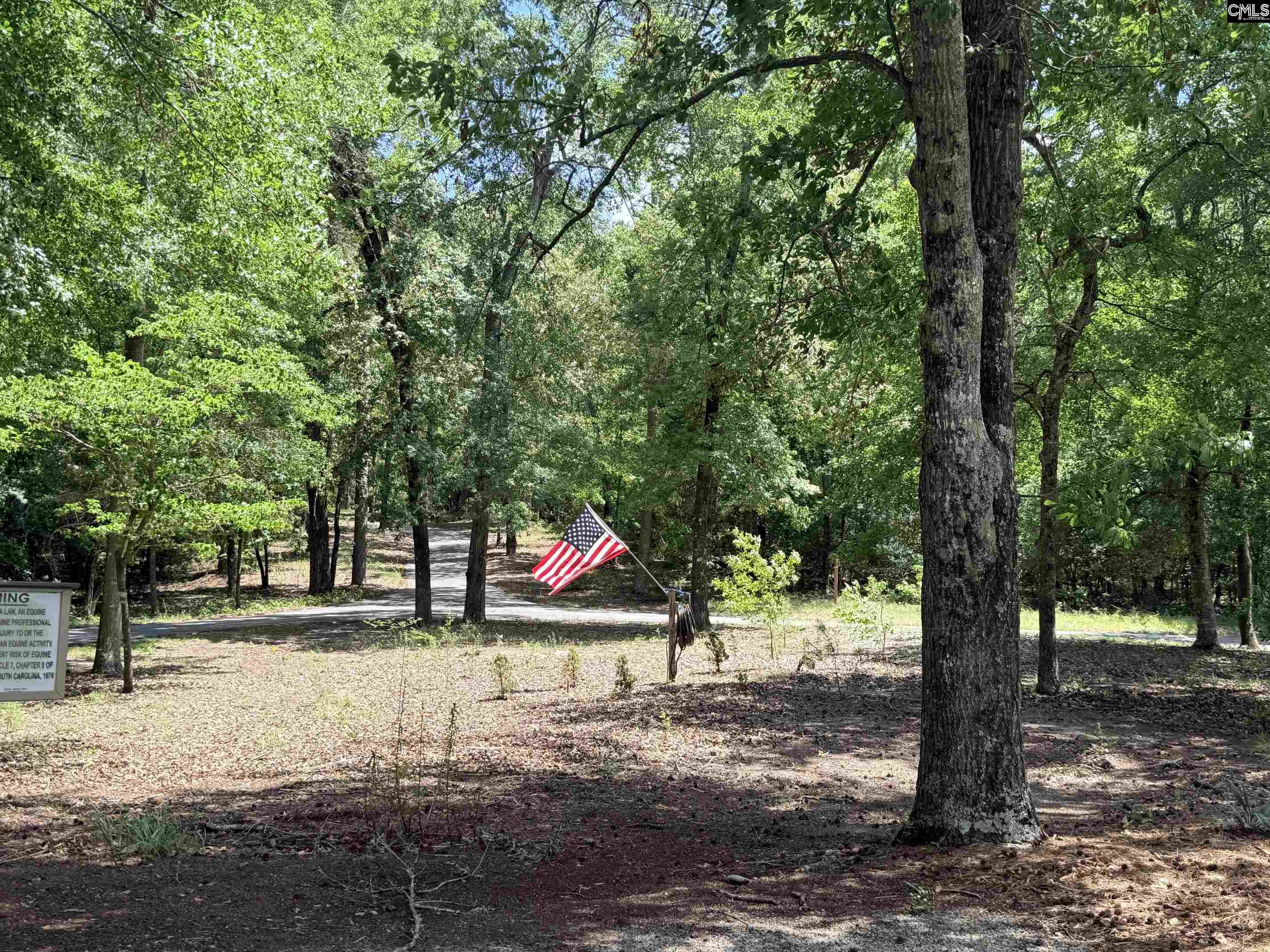 612 Edisto Lake Road Wagener, SC 29164 - Photo 48 of 48