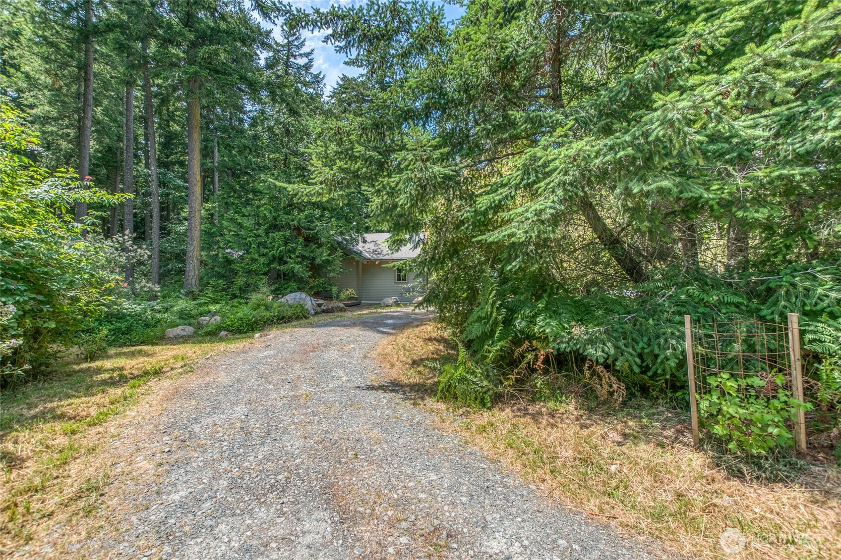 31 Colgan Creek Road Orcas Island, WA 98245 - Photo 6 of 40