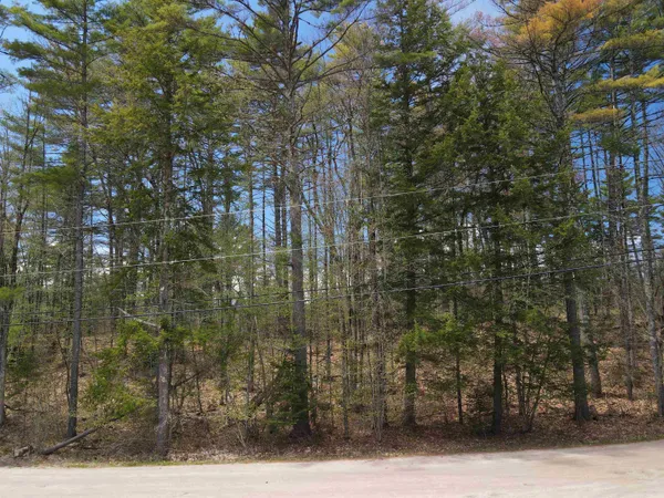 $35,000 | 12 Eidelweiss Drive, Madison, NH 03849