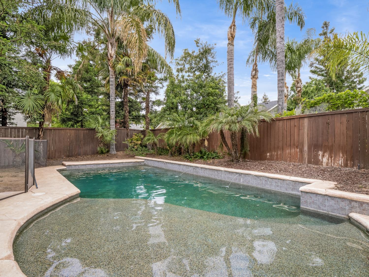 371 West Warwick Avenue Clovis, CA 93619 - Photo 40 of 42 a view of a backyard with palm tree
