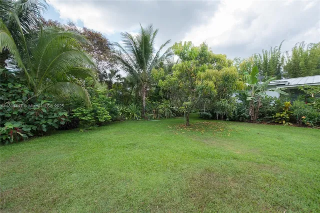 a view of a room with wooden floor and windows