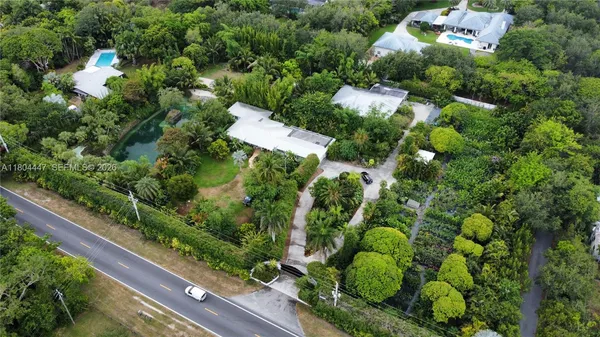 a view of a garden with plants