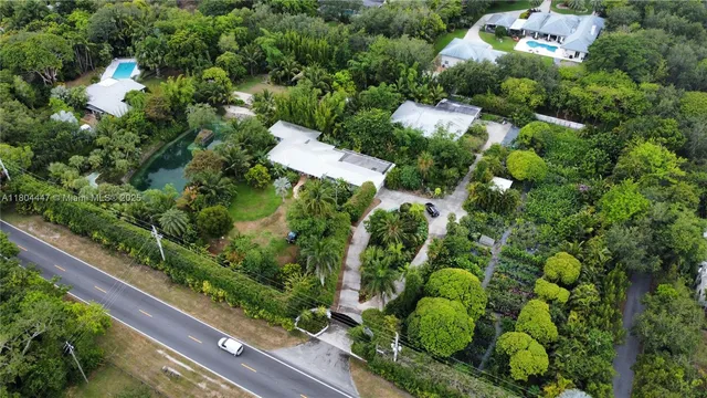 a view of a garden with plants