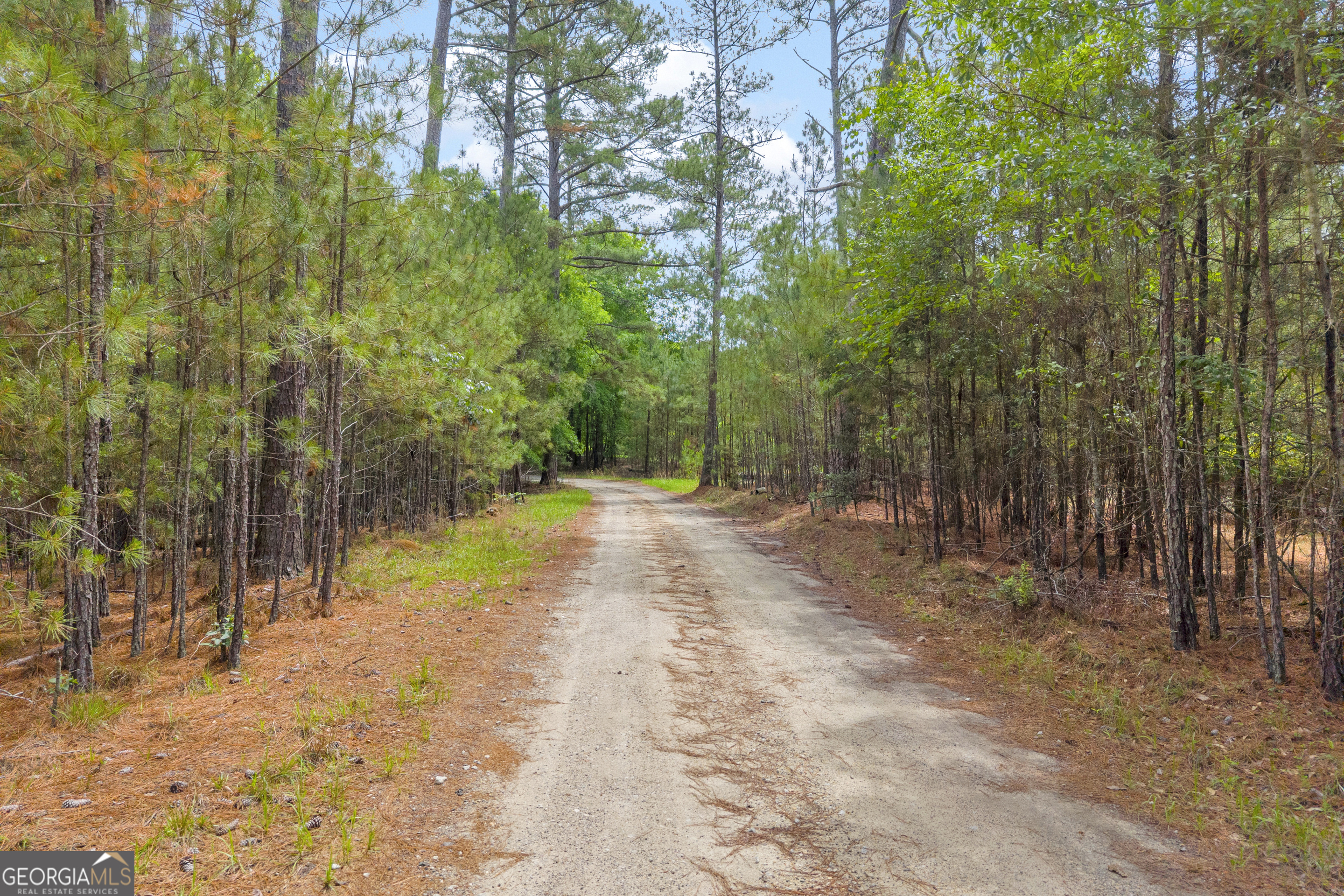 0 Clary Road Lincolnton, GA 30817 - Photo 16 of 16