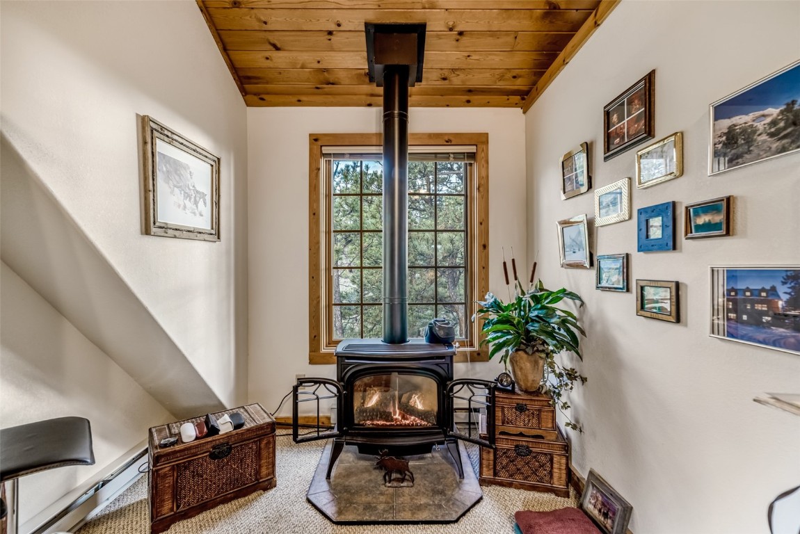 664 Tonkawa Road Hartsel, CO 80449 - Photo 24 of 50 Gallery Image 24