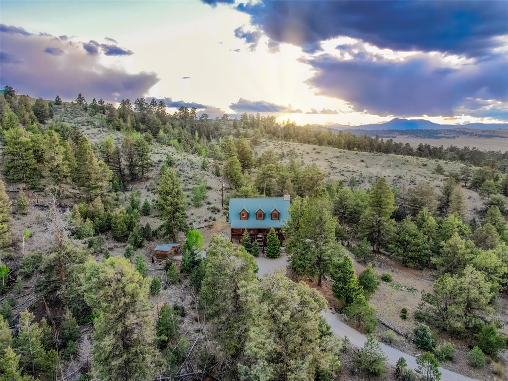 664 Tonkawa Road Hartsel, CO 80449 - Photo 3 of 50 Gallery Image 3